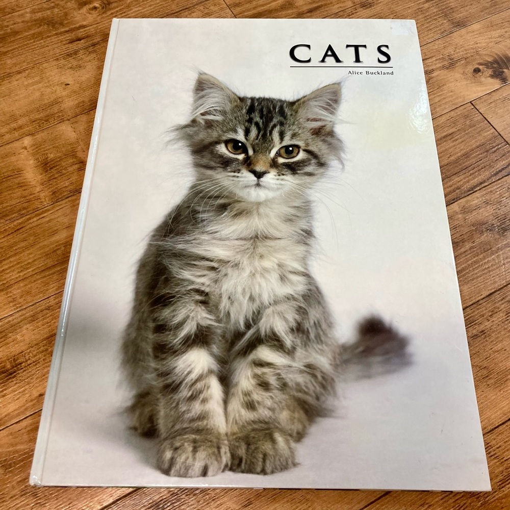 24x17 in. CATS PHOTOGRAPHY BOOK BY ALICE BUCKLAND WITH POSTER